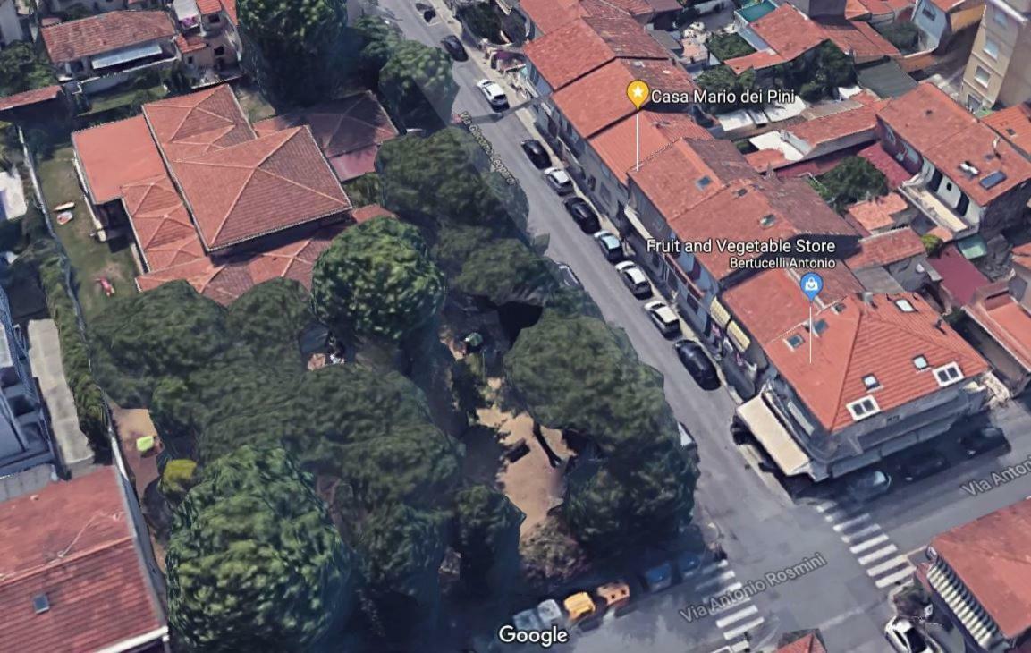 Villa Casa Mario dei Pini Viareggio Esterno foto